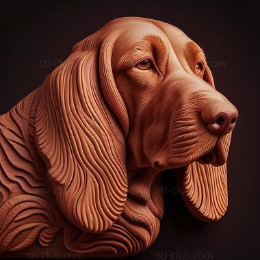 3D model st Red Breton Basset dog (STL)